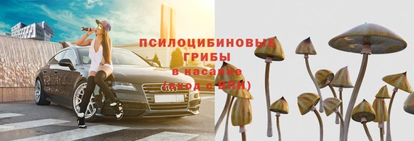 прущий лед Алексеевка