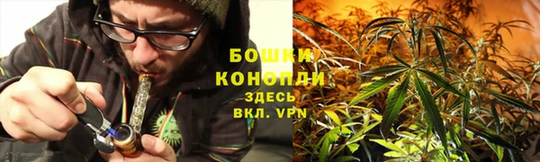 ECSTASY Корсаков