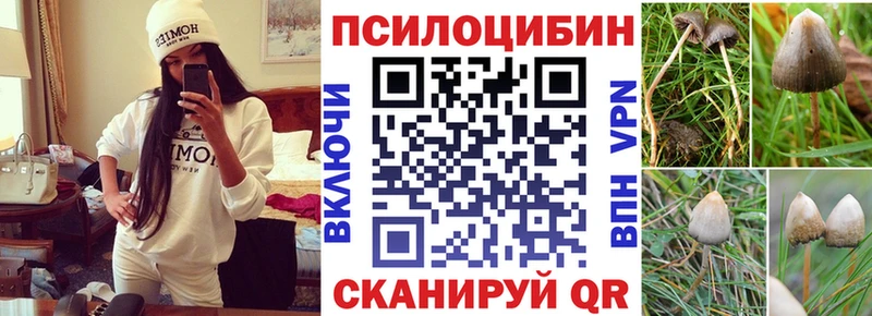 Псилоцибиновые грибы Cubensis Зеленокумск